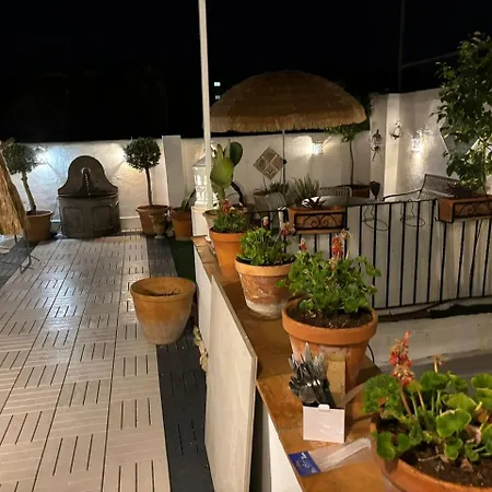 Atico Los Olivos-3